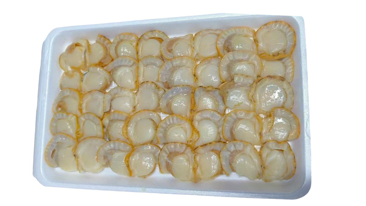 Boiled Sea Scallop Slice