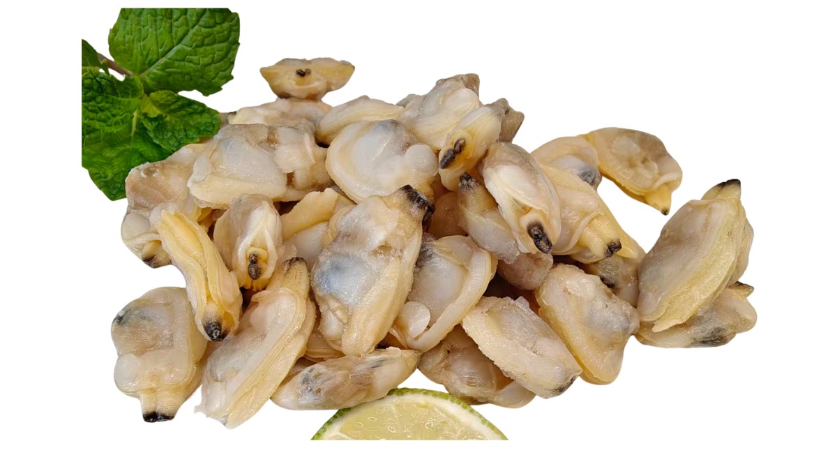 Cooked Clam Meat