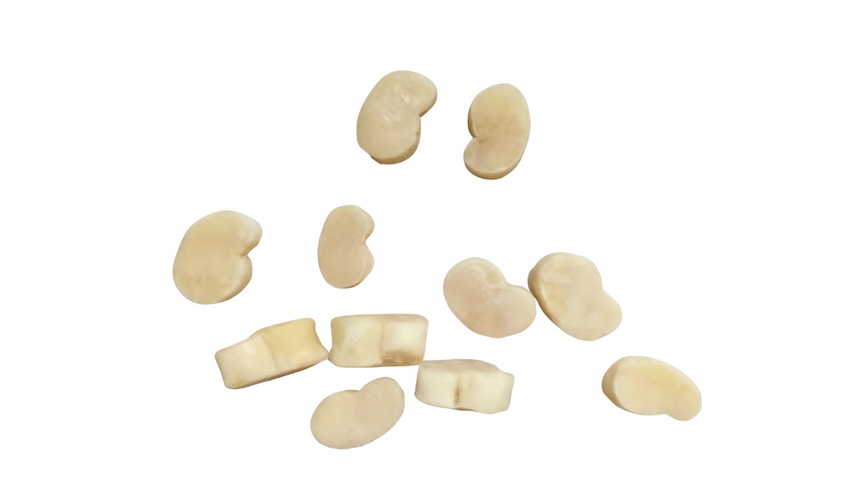 Pen Shell Scallop Meat