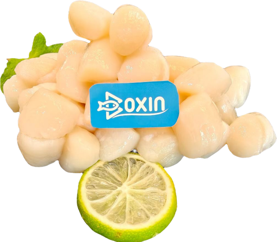 Boxin Food seafood products