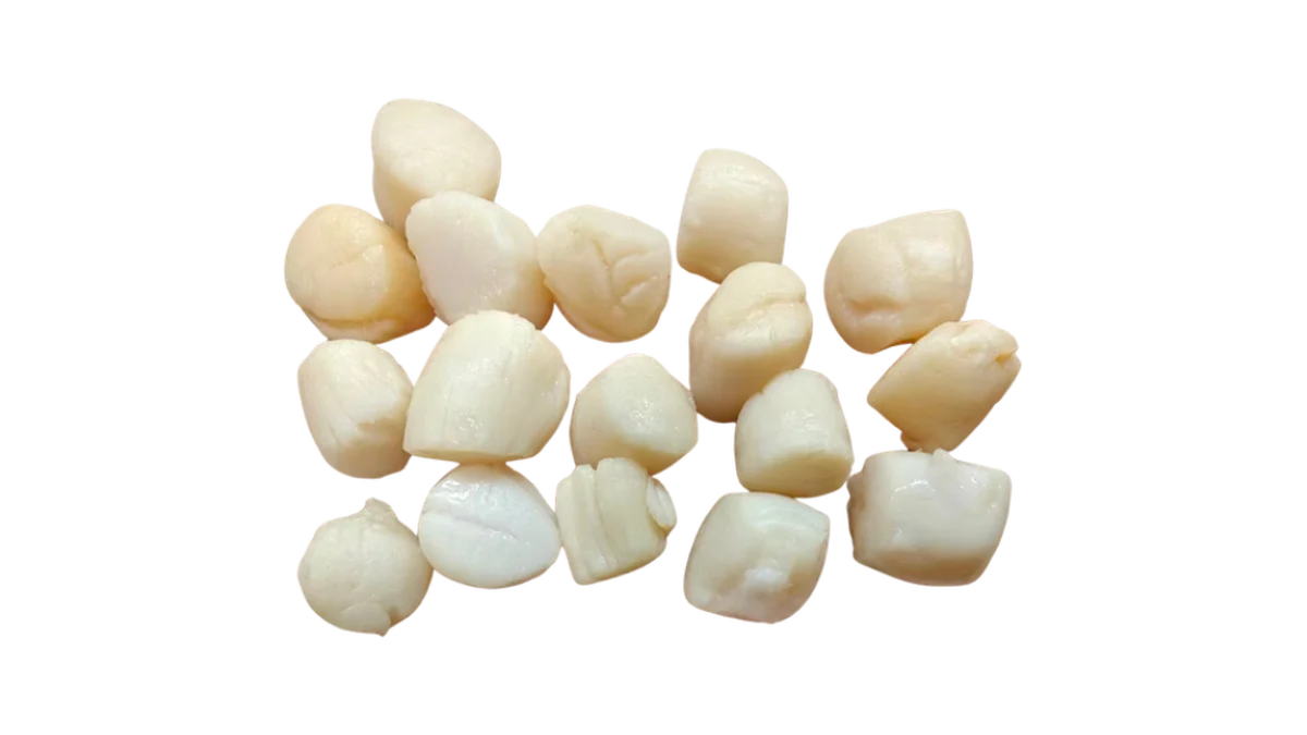 Scallop product