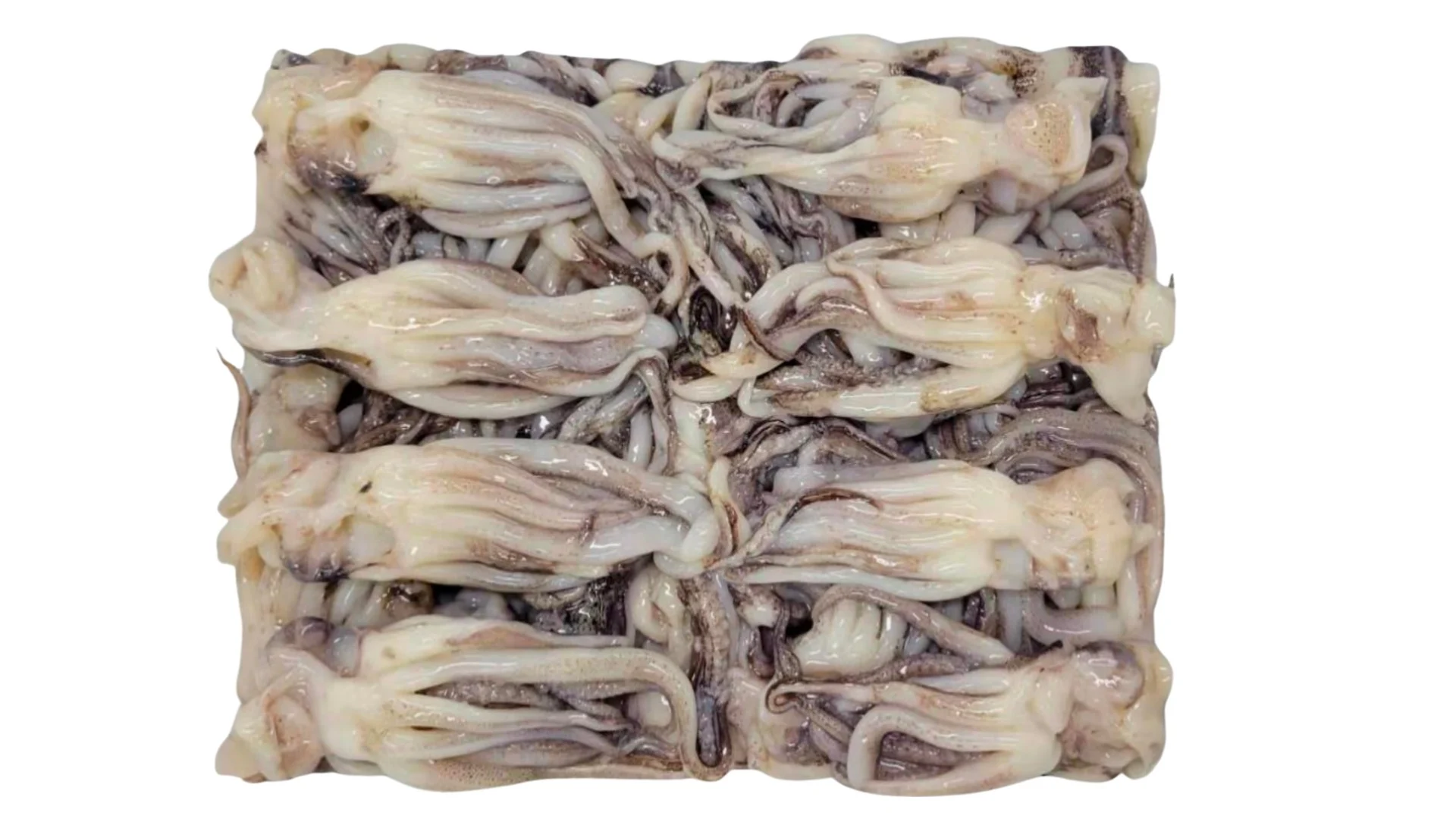 Squid Tentacles