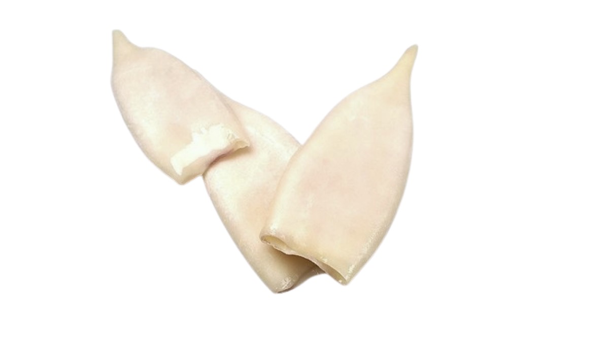 Squid Tube